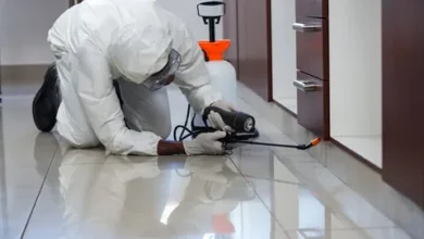 Pest Control in Lahore and Guide pest control services