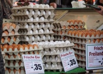 How Much Are Kwik Trip Eggs Weekly