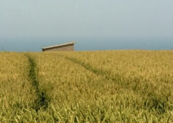 Howard M Terpenning Recreation Complex