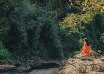 Howe Park Duck and Fishing Pond