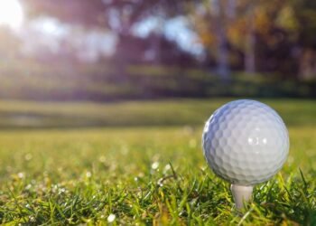 Howling Coyote Disc Golf Course A local gem for any golfer