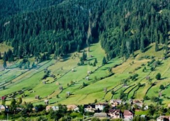 St. Louis County Land Explorer