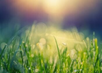 Can I Take Claritin and Tylenol Together