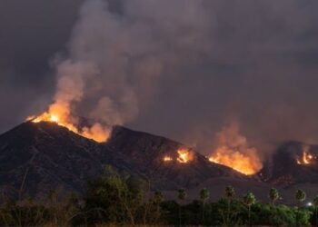 Cody Fire Oracle AZ update