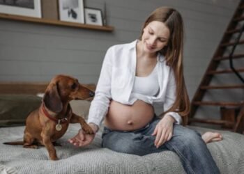 I Had a Turkey Sandwich While Pregnant