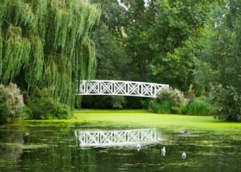 Ross Coastal Plain Marsh Preserve