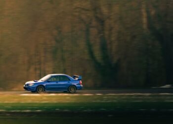 Watkins Regional Park... Festival of Lights Entrance