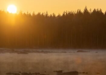 Goble Funeral Home Sparta NJ Obituaries Compassionate Guide