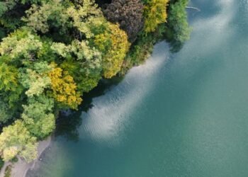 donna awcock was found near fanshawe dam